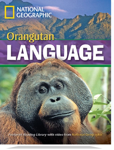 Orangutan Language 
